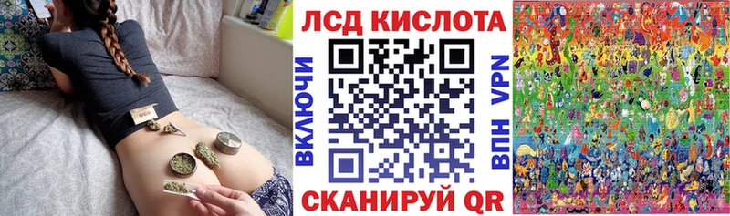 kraken tor  Холмск  Марки 25I-NBOMe 1500мкг 