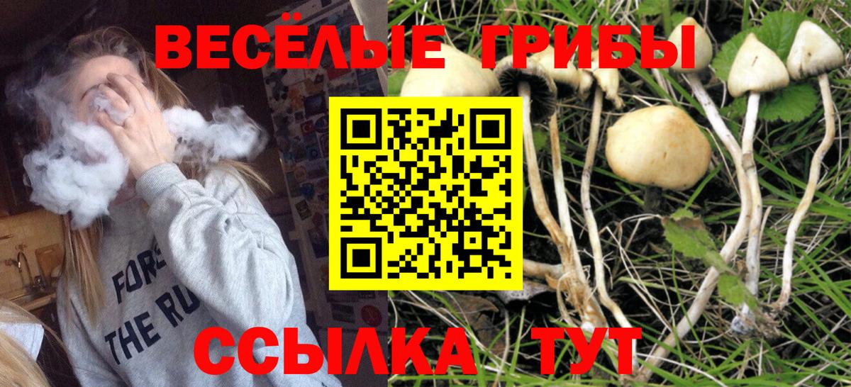 где продают наркотики  Вход с VPN  Холмск  Псилоцибиновые грибы мухоморы 